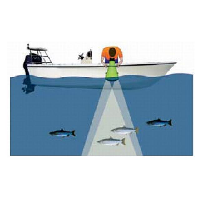 Nuova Rade Aquascope viewer (31409)