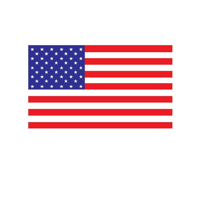 United States Flag (9