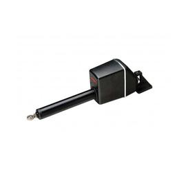 Short Shaft Linear Drive-Type 2, 12V, Raymarine (M81131)
