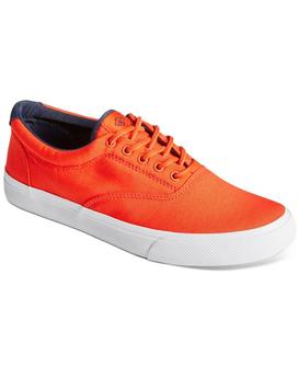 Souliers Striper II CVO Hommes Sperry